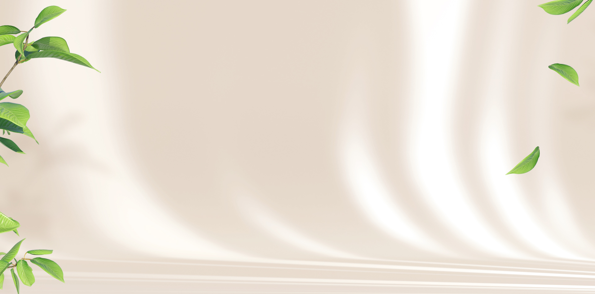 Sunrays WordPress Theme